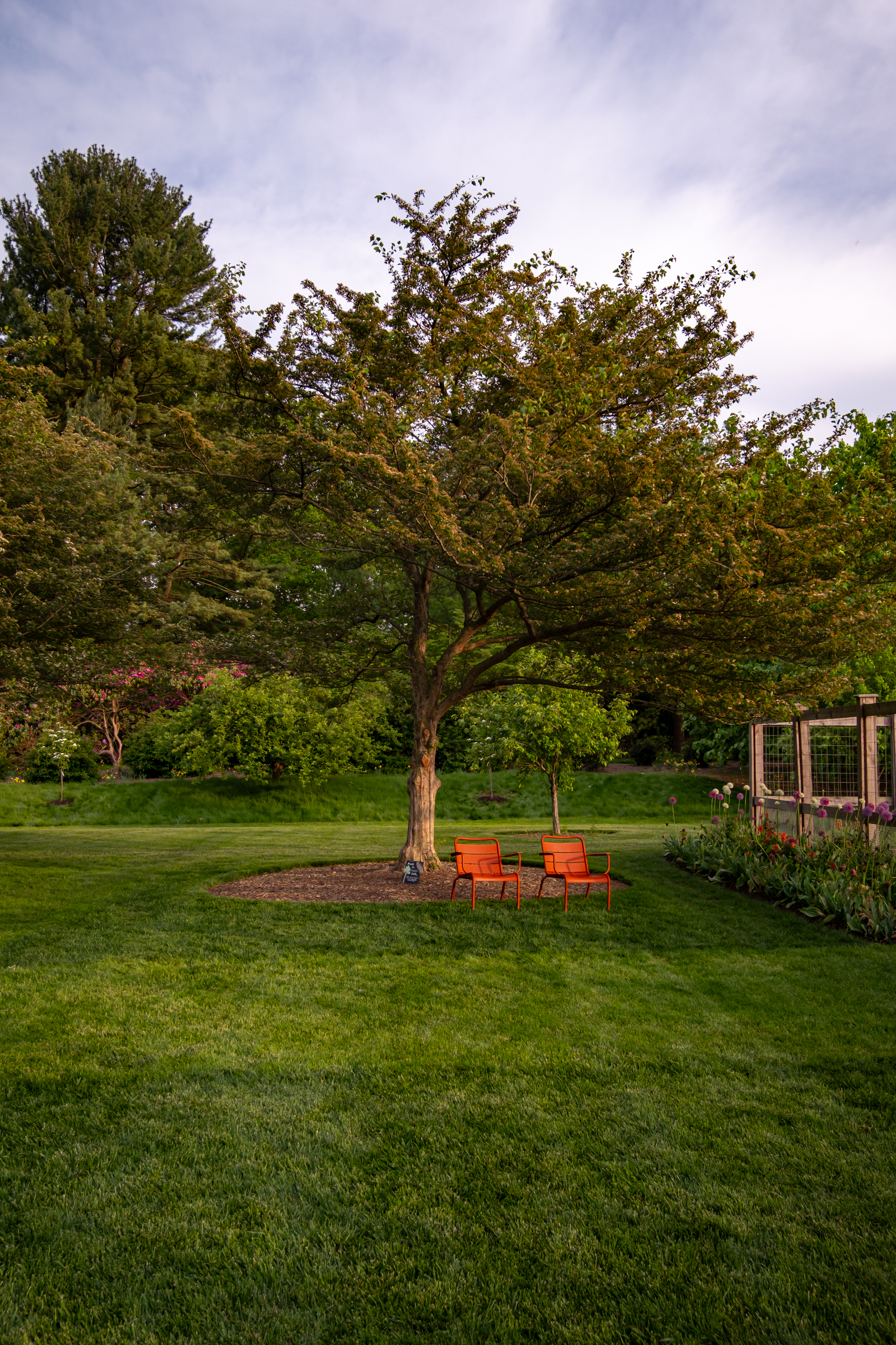 Longwood Gardens Detail