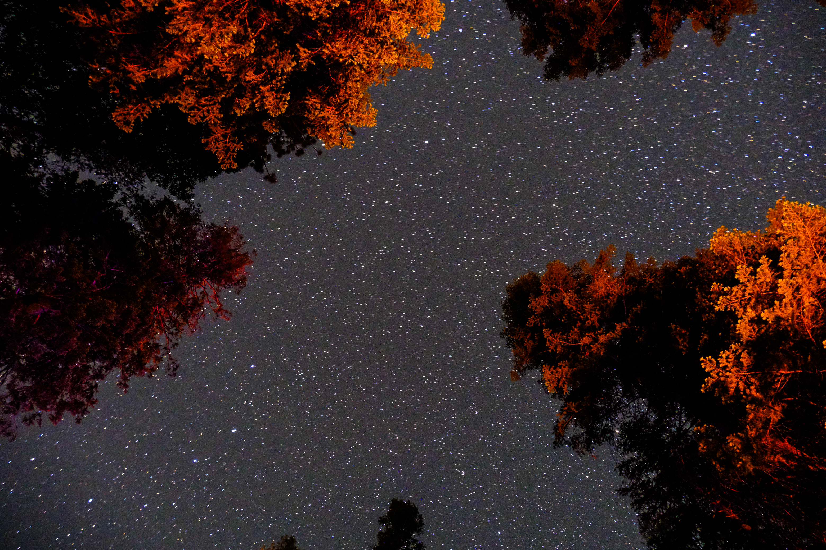 Acadia Stargazing